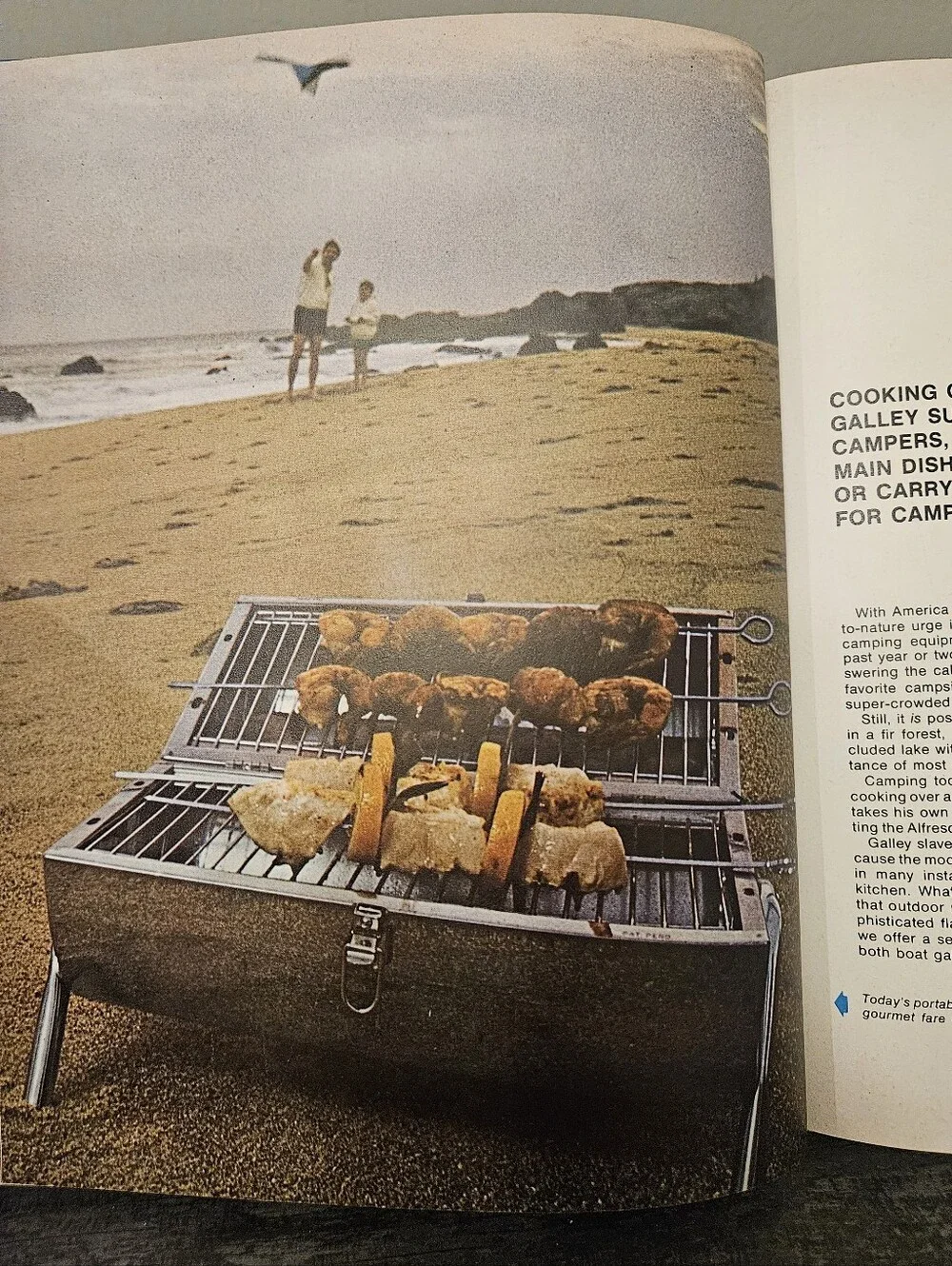 Vintage 1972 Family Circle Illustrated Library of Cooking Volume 6 Hardcover
